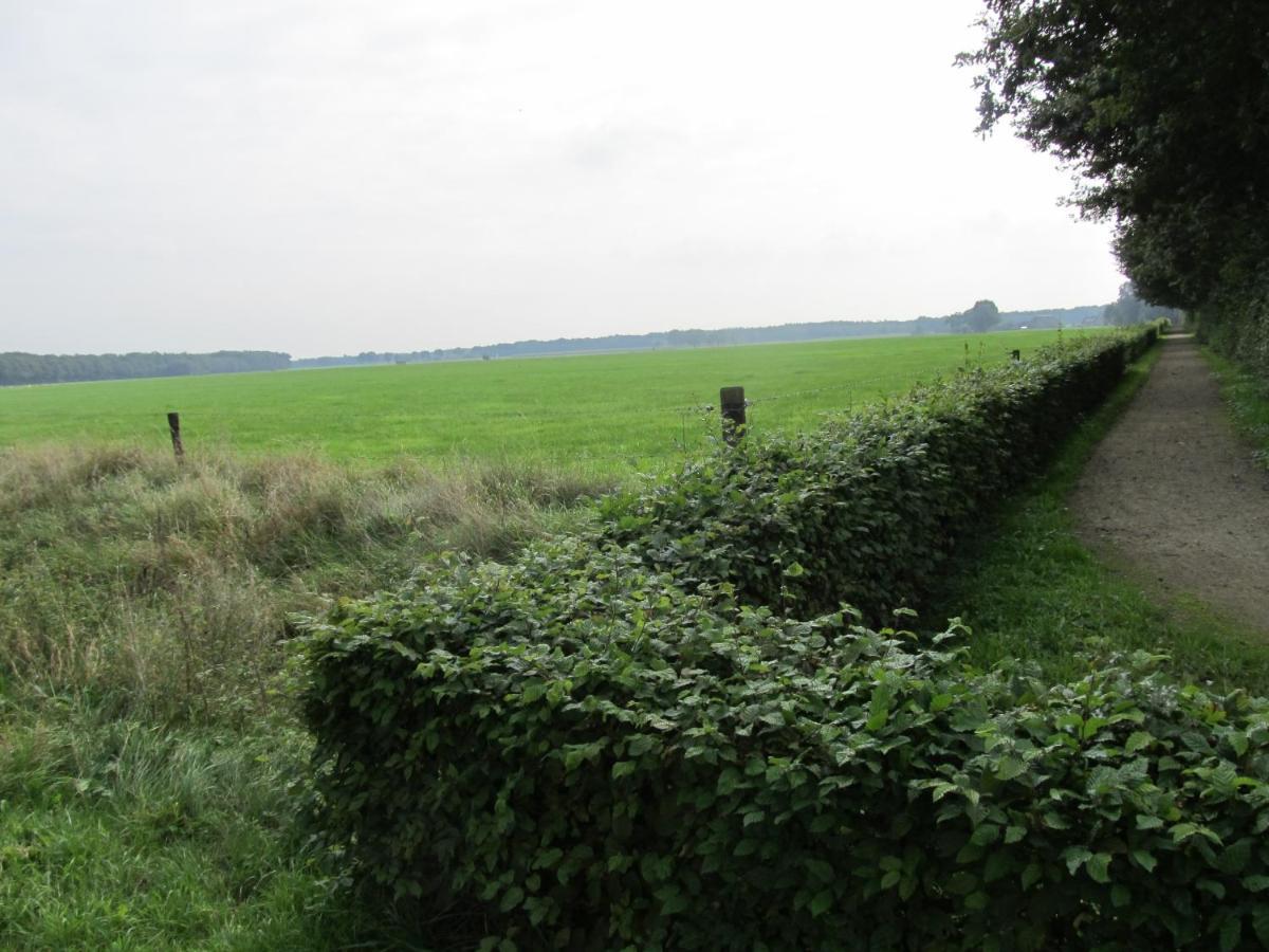 Boerderij De Aarnink Heeten Exterior foto