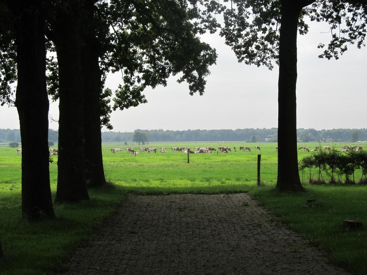 Boerderij De Aarnink Heeten Exterior foto